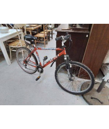 VTT ORANGE RALEIGH 