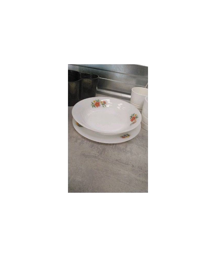PLATS ARCOPAL X2