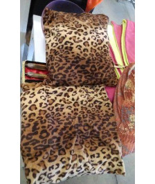 COUSSIN 