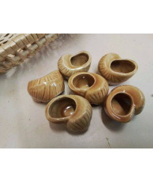 LOT DE COQUILLE D’ESCARGOT EN CERAMIQUE 