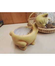 CACHE POT CHAT 