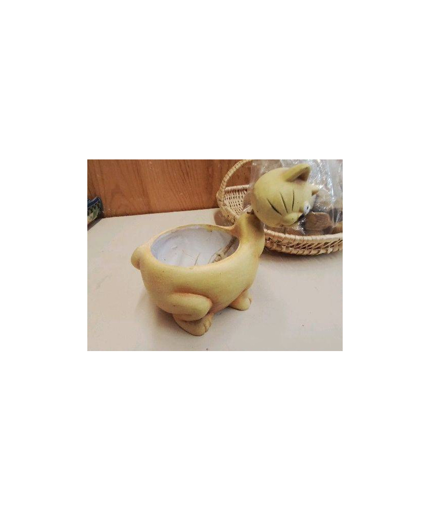 CACHE POT CHAT 