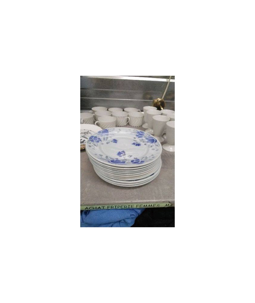 ASSIETTES A DESSERT ORCHIES X11 