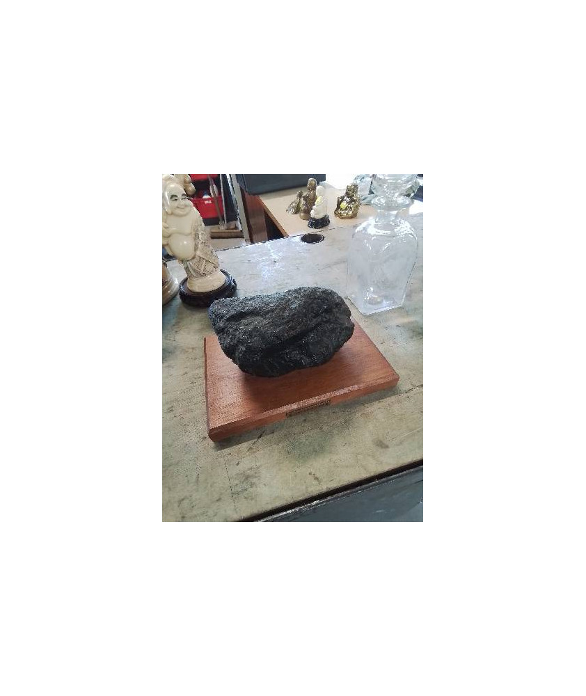CHARBON DE LIEVIN FOSSILISÉ SOCLE BOIS
