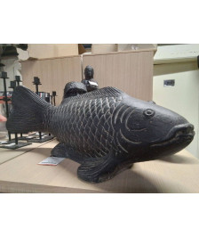 FISH 60 CM