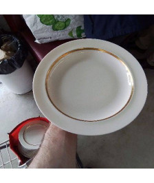 SERVICE VAISSELLE BLANC DORÉ 