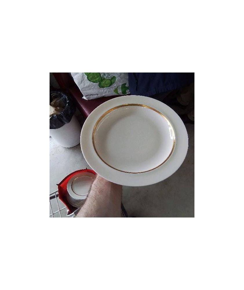 SERVICE VAISSELLE BLANC DORÉ 