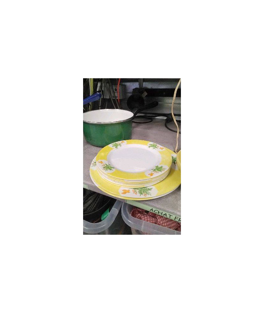 ASSIETTES PLASTIQUE 