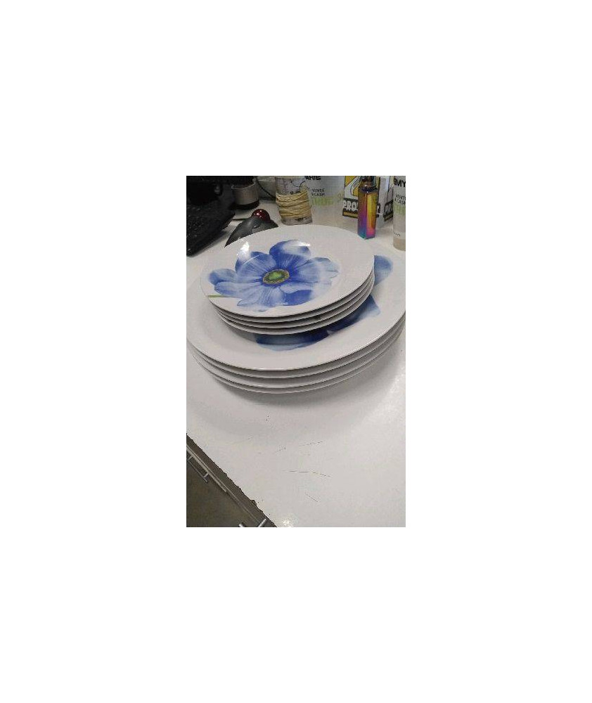 ASSIETTES FLEURS 