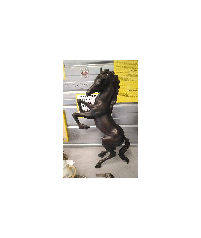 DECO CHEVAL CABRÉ-REGULE