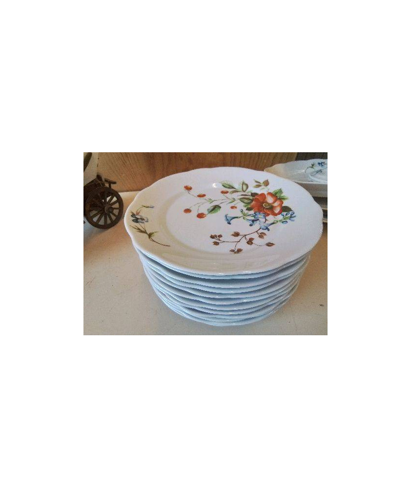LOT DE 12 ASSIETTES PLATES 