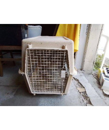 GRANDE CAISSE ANIMAUX 