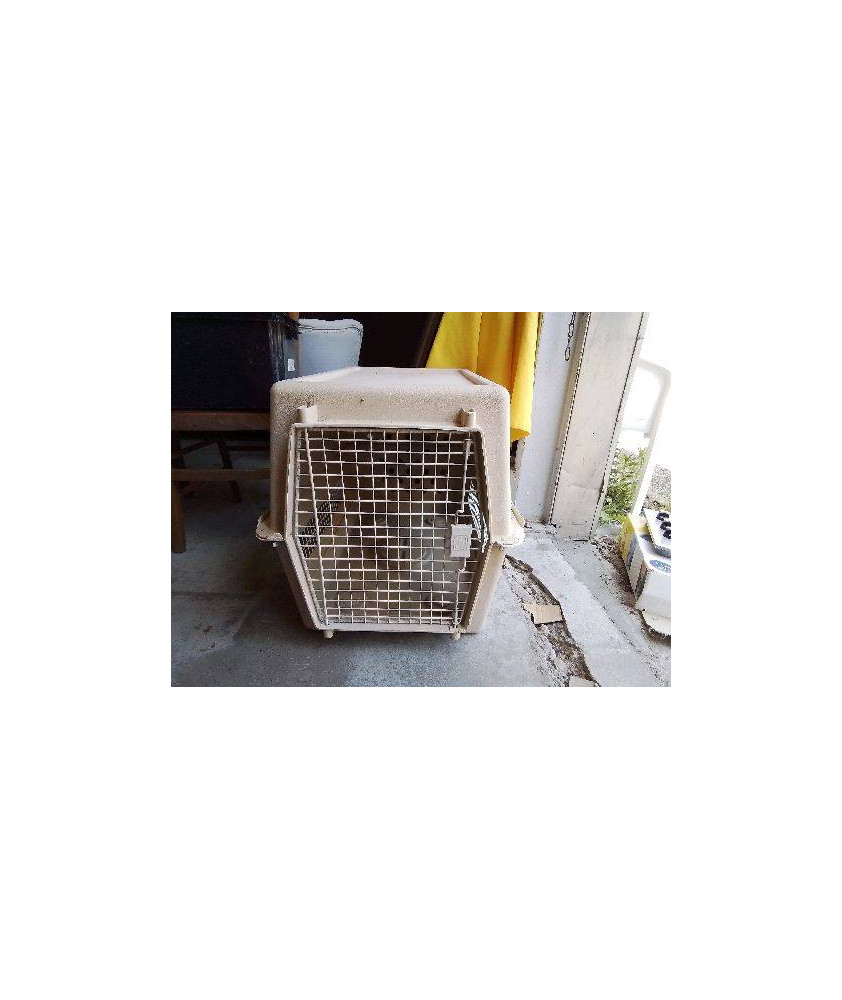 GRANDE CAISSE ANIMAUX 