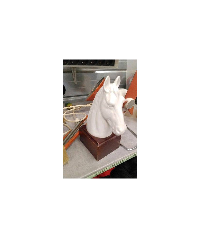 TETE DE CHEVAL 