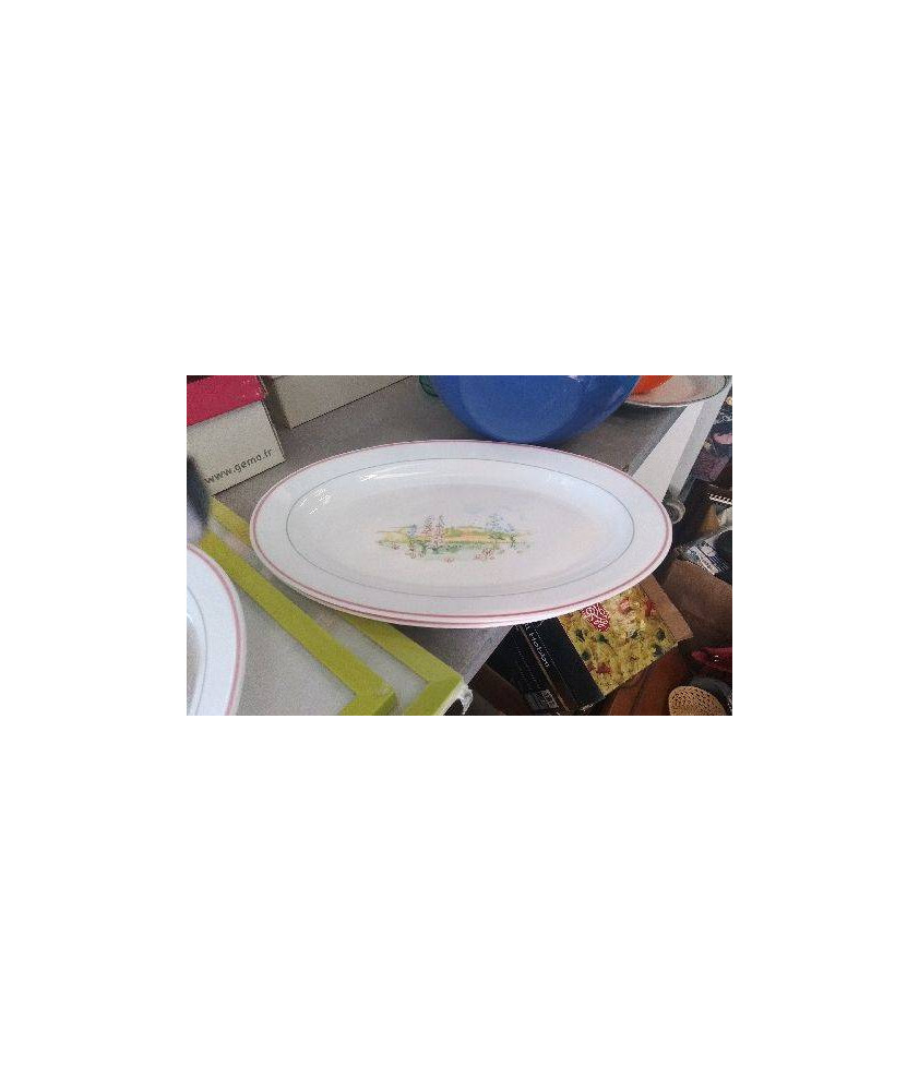 PLATS OVALES ARCOPAL X2