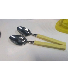 CUILLERE GM X2