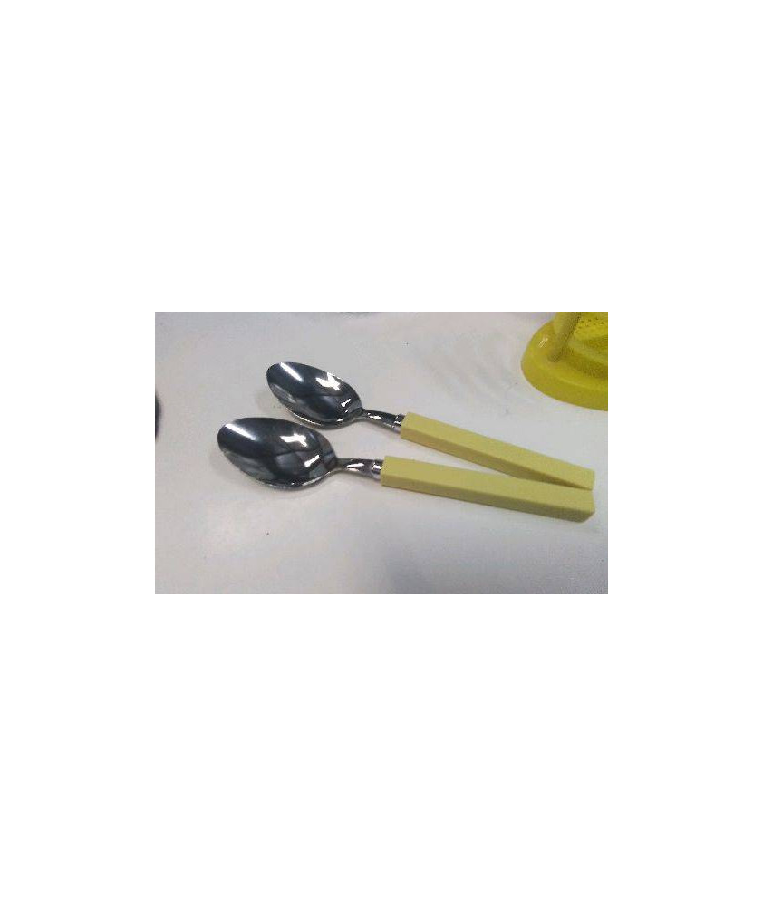 CUILLERE GM X2