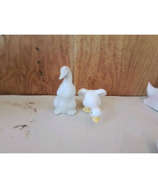 CANARD DECO 