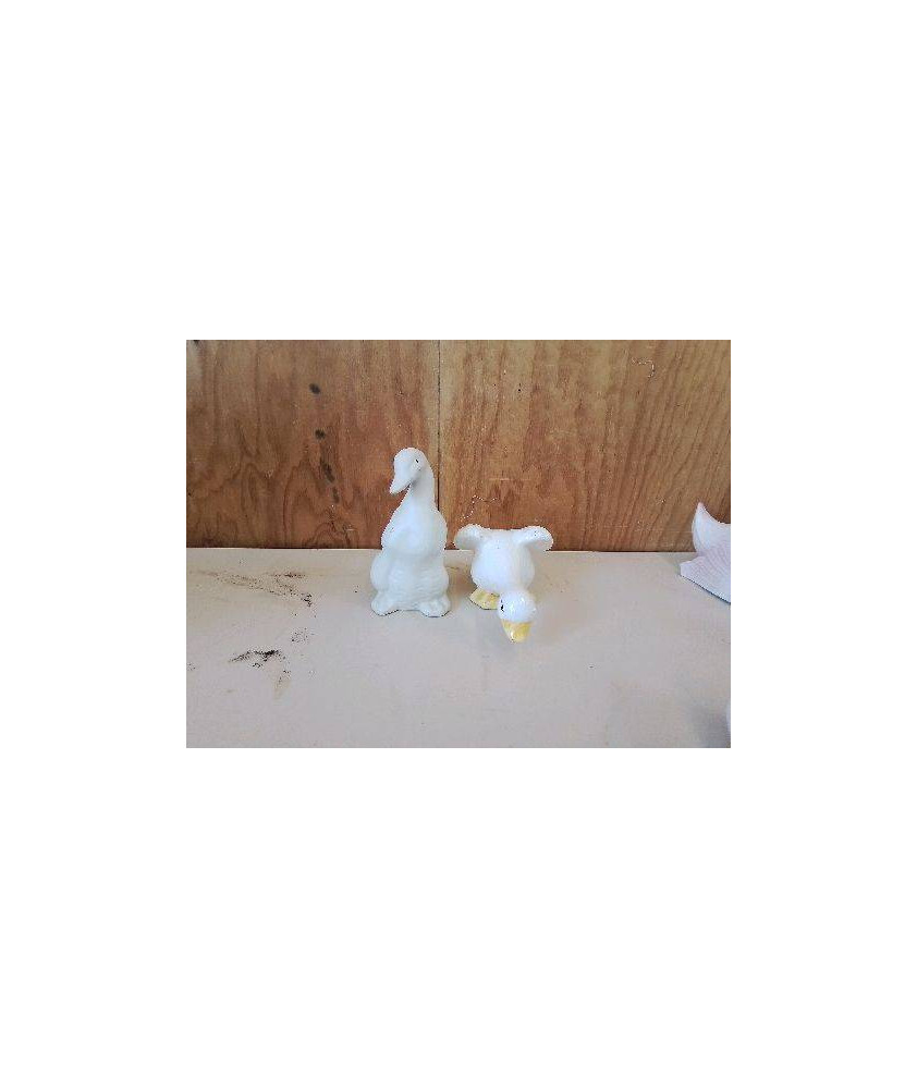 CANARD DECO 