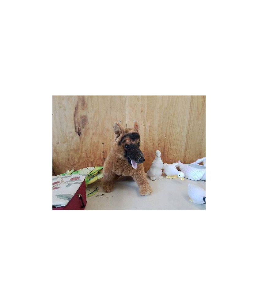 PELUCHE CHIEN 