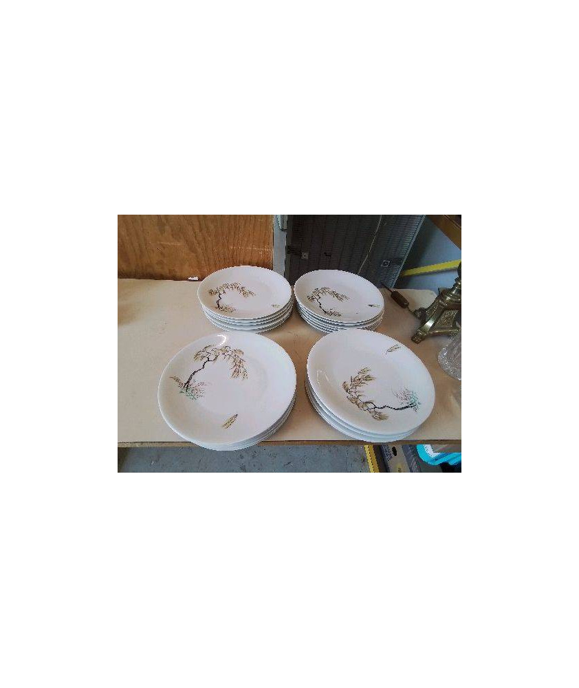LOT DE 6 ASSIETTES PLATES PORCELAINE DE LIMOGE ARBUSTE 