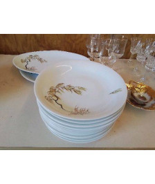 LOT DE 6 ASSIETTES CREUSES PORCELAINE DE LIMOGE ARBUSTE 
