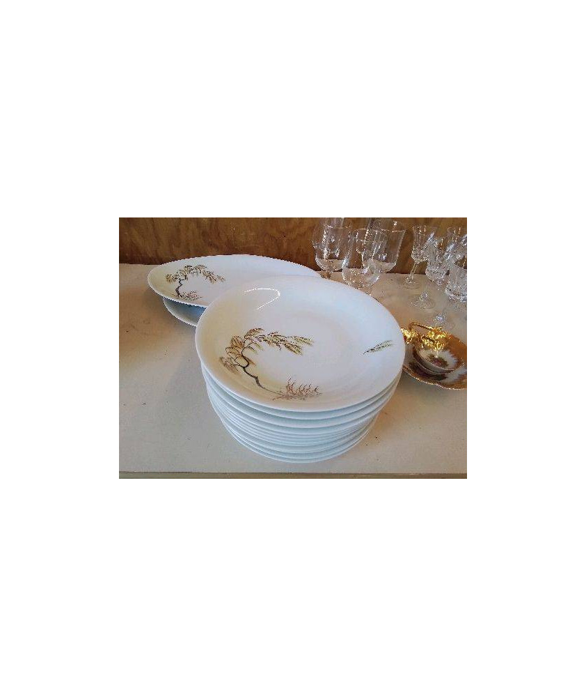 LOT DE 6 ASSIETTES CREUSES PORCELAINE DE LIMOGE ARBUSTE 