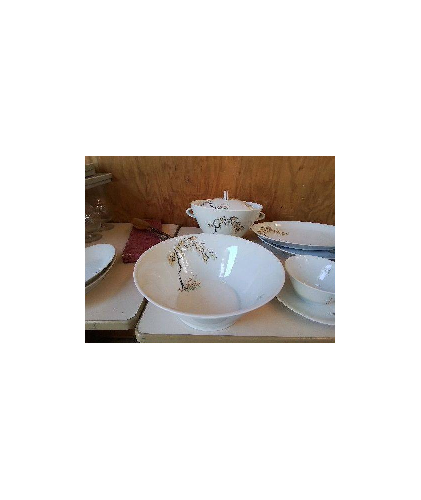 SALADIER PORCELAINE DE LIMOGE ARBUSTE 