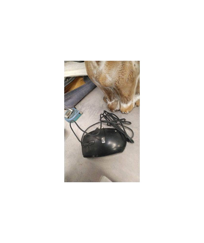 SOURIS USB