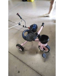 TRICYCLE ROSE AIYAPLAY