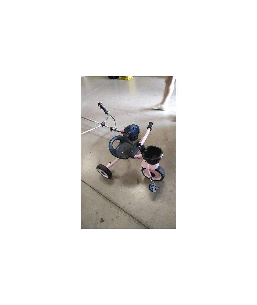 TRICYCLE ROSE AIYAPLAY
