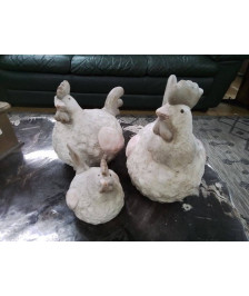 POULES LOT DE 3