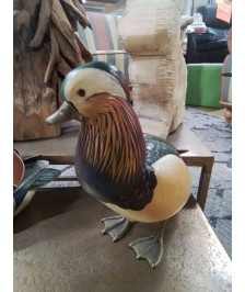 CANARD