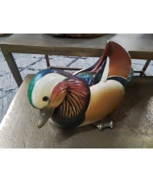 CANARD