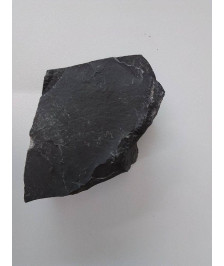 FOSSILE