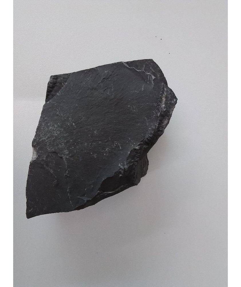 FOSSILE