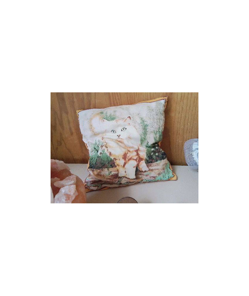 COUSSIN CHAT 