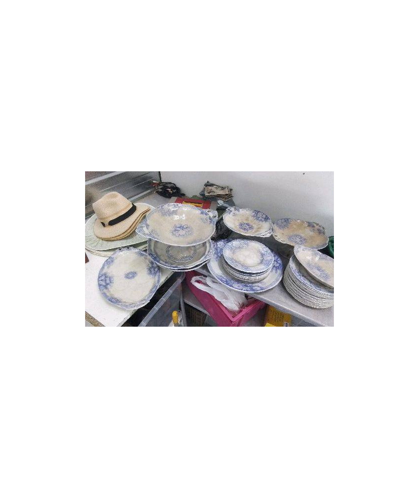 ASSIETTES ANCIENNES SARREGUEMINES+ PLATS EN LETAT 