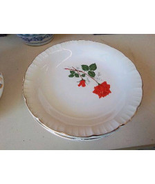 LOT DE 5 ASSIETTES EN POCELAINE 