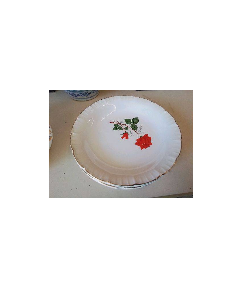 LOT DE 5 ASSIETTES EN POCELAINE 