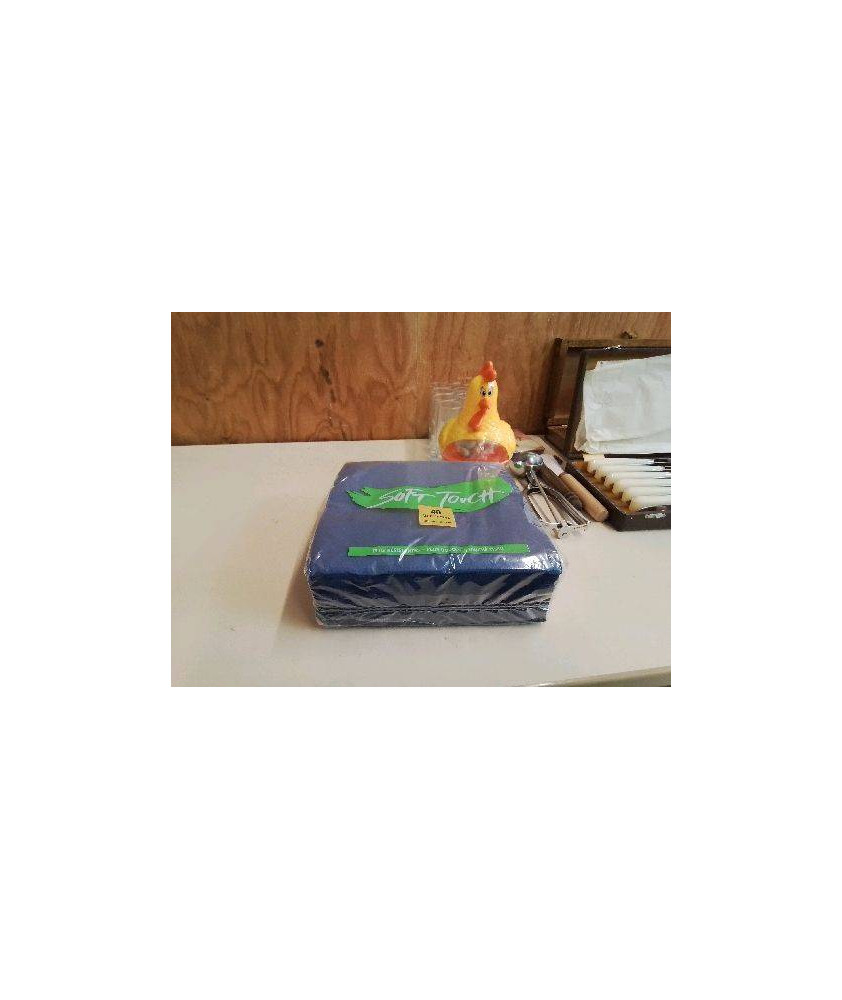 LOT DE SERVIETTES 