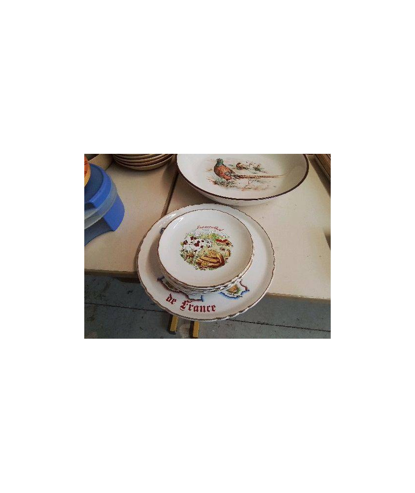 LOT DE 6 ASSIETTES FROMAGE AVEC LE PLATEAU 