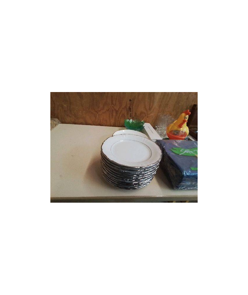 LOT DE 11 PETITES ASSIETTES À DESSERT BORDURE CHROMÉ 