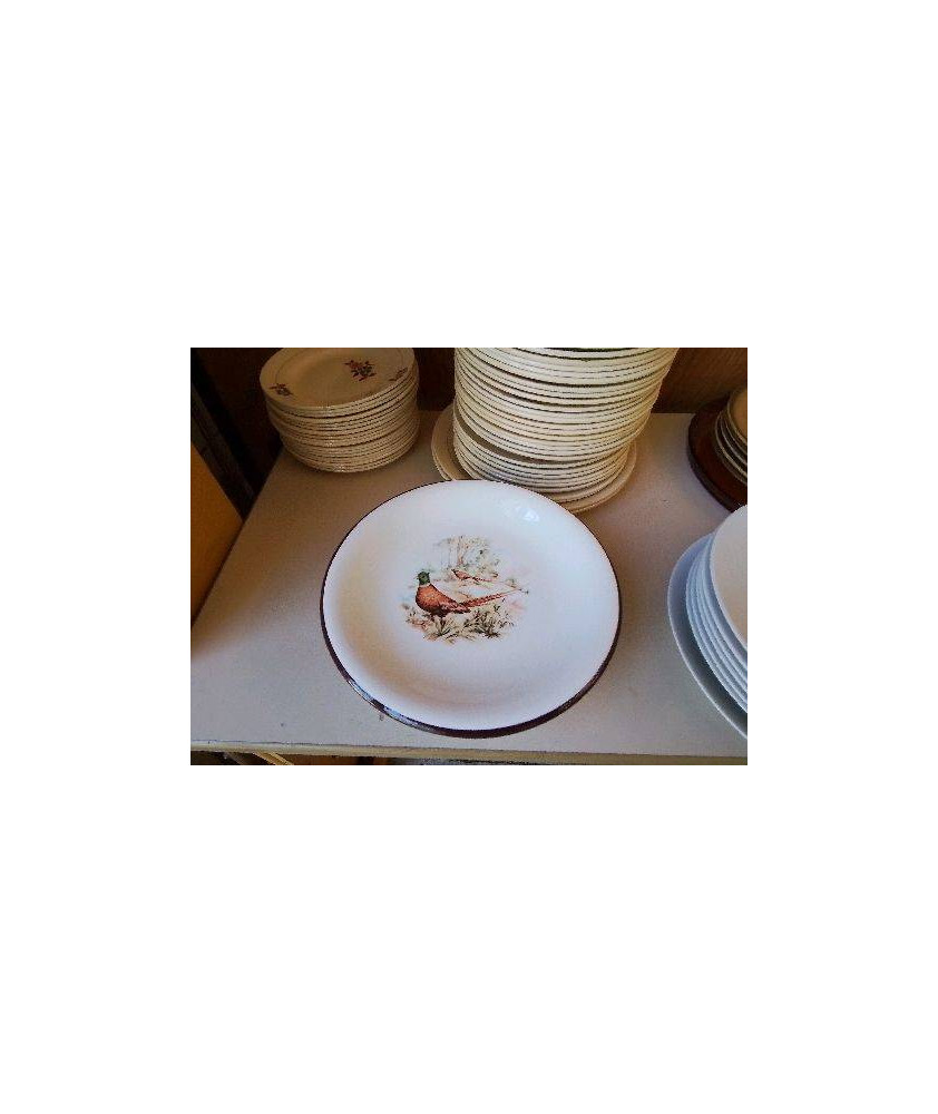LOT DE 6 ASSIETTES PLATES GIBIER DE CHASSE 