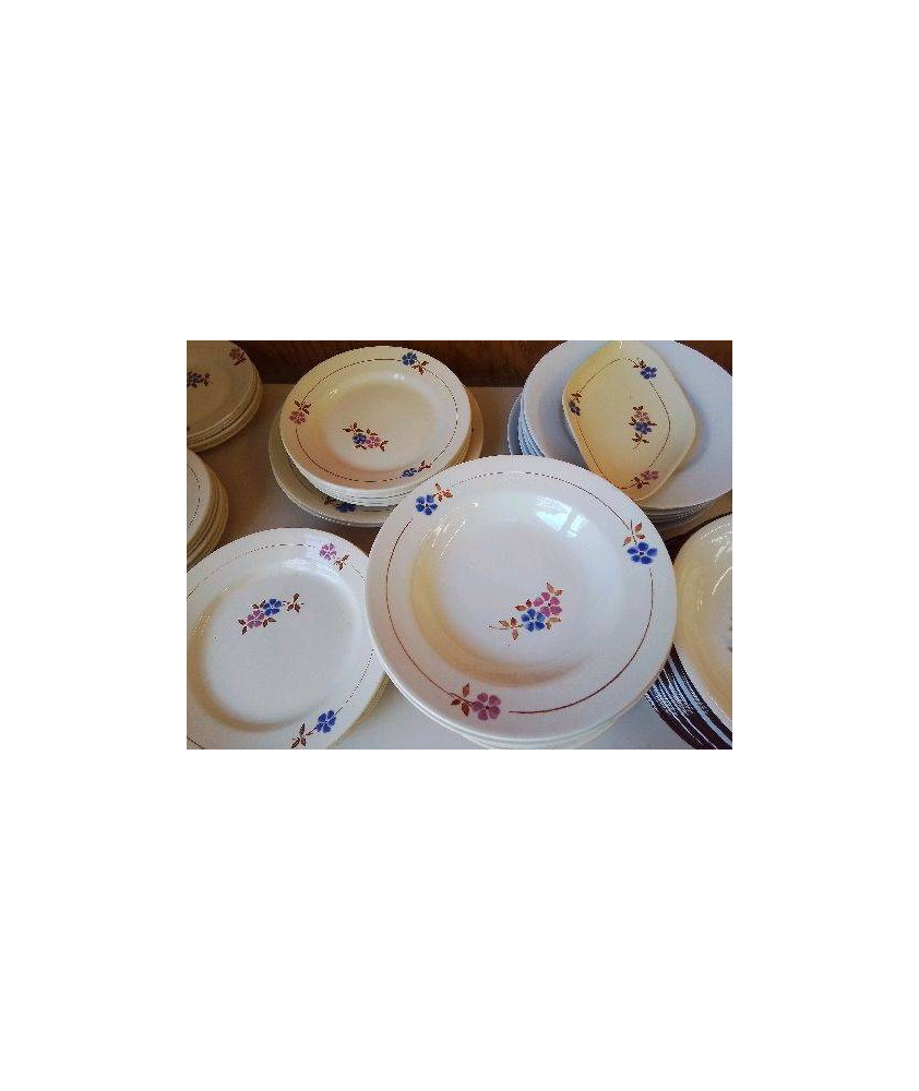 LOT DE 6 ASSIETTES MOTIF FLORAL 