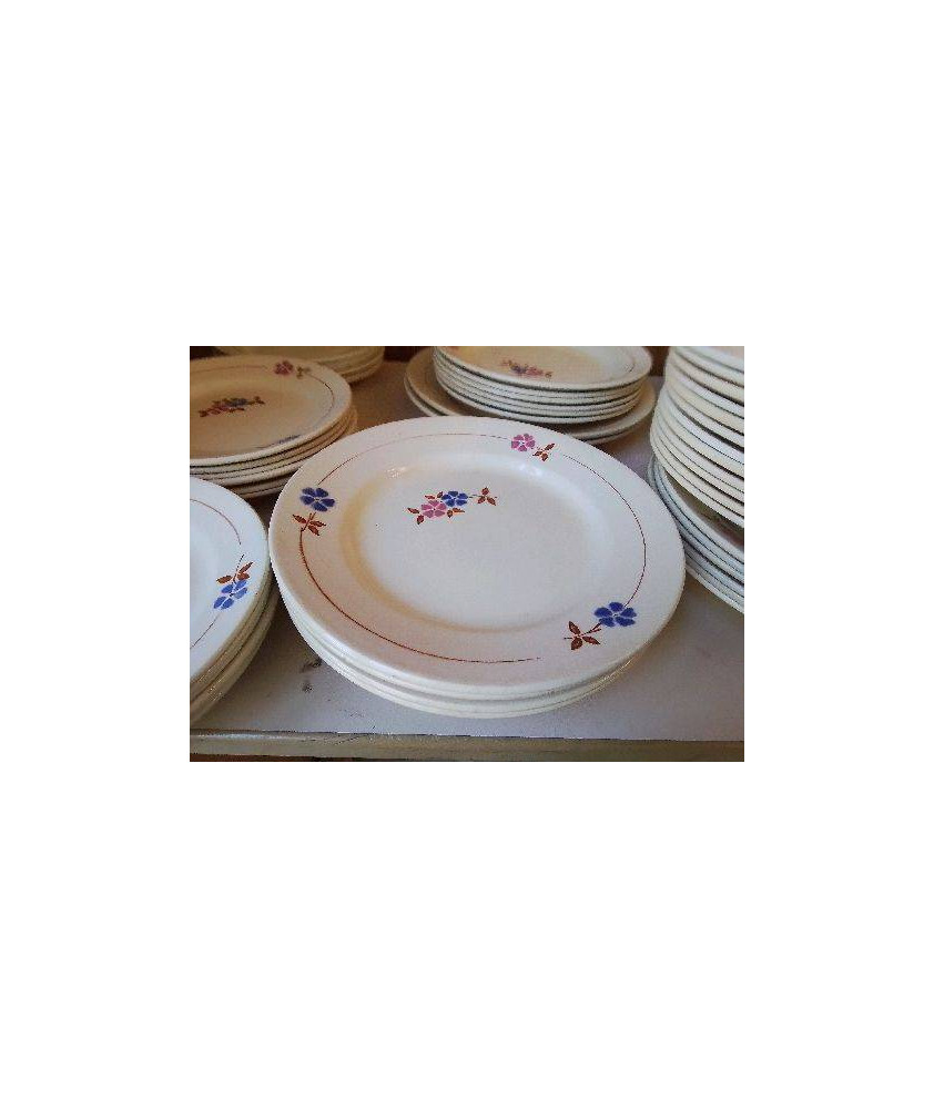 LOT DE 5 ASSIETTES MOTIF FLORAL 