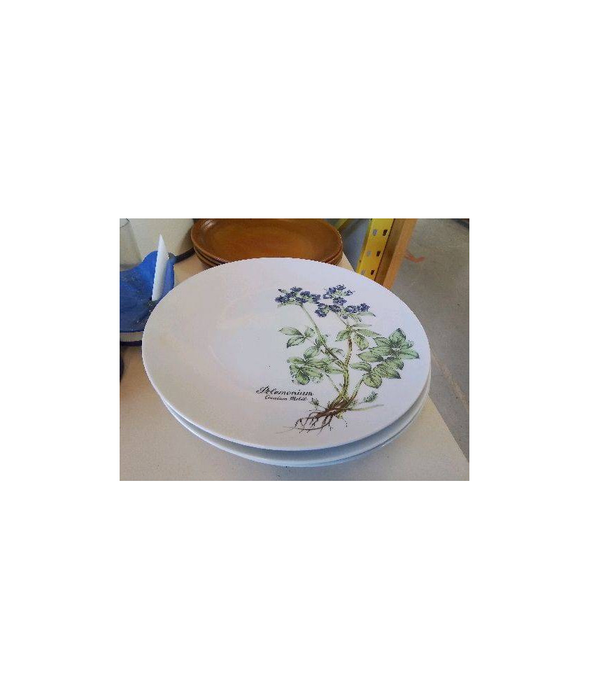 LOT DE 4 ASSIETTES PLATES MOTIF FLORAL 