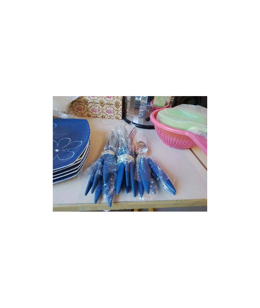 LOT COUVERTS BLEU 