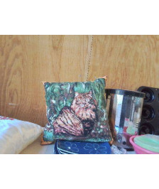 COUSSIN CHAT 