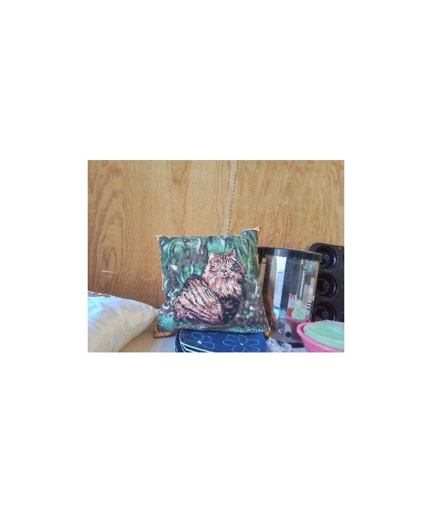 COUSSIN CHAT 